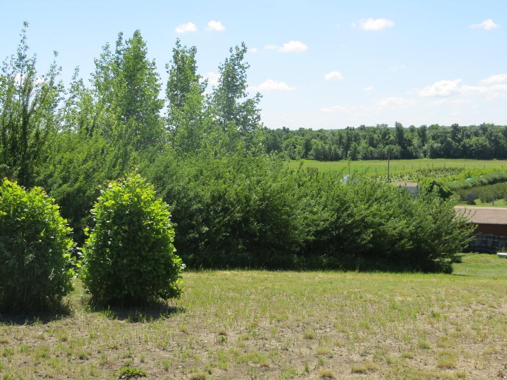 Orchard View Bed And Breakfast Мус-Джо Экстерьер фото